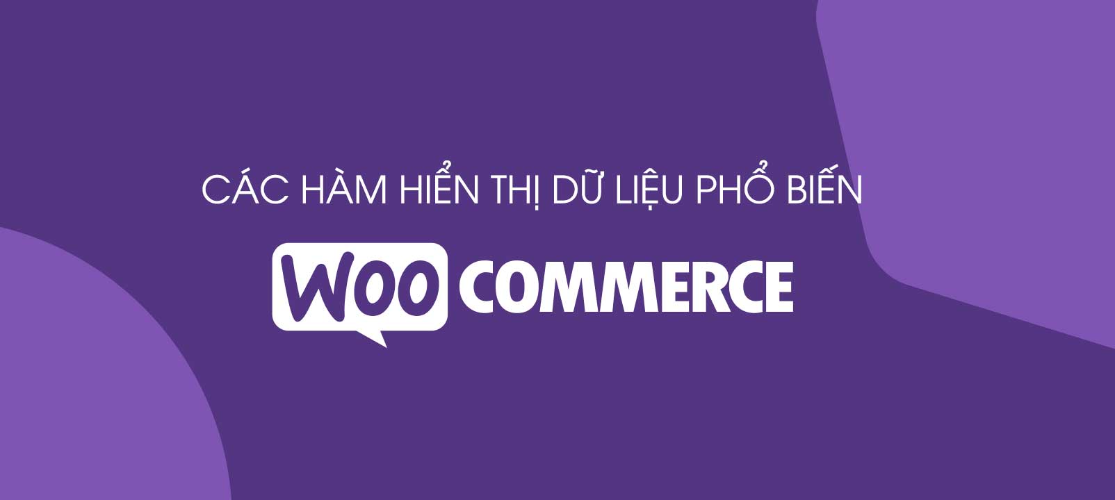 Các hàm hiển thị dữ liệu phổ biến trong WooCommerce